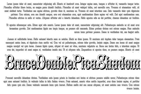 Bruce Double Pica: A Display Font That Elevates Real Small Business Branding