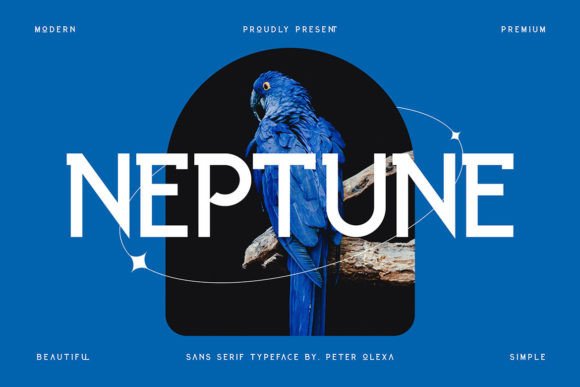 Neptune: A Modern Display Font for Clean Digital Branding